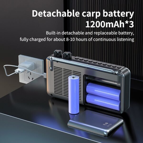 Portable LCD Radio Speaker with FM/AM, USB, and TF Card Support